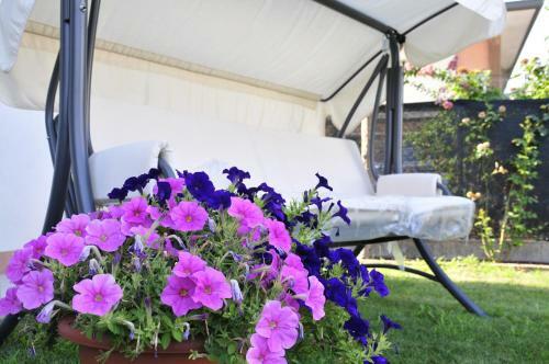 Bed & Breakfast Casablanca