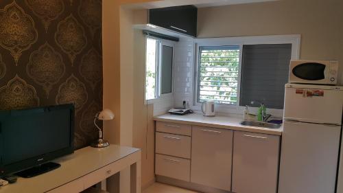 Pinsker Garden Apartment