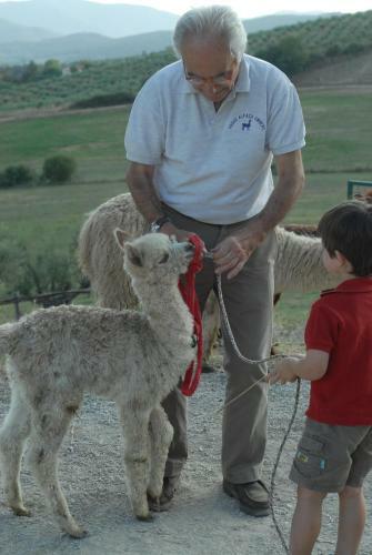 Agroturismo Maridiana Alpaca