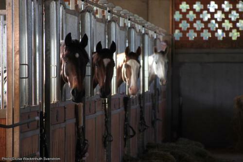 Bed & Breakfast Foresteria Dei Piaceri Campestri