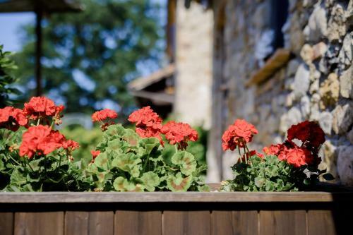 Bed & Breakfast Villa Loghino