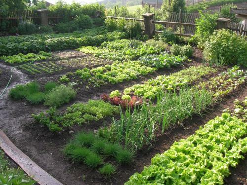 Agroturismo Unterpfaffstall-hof