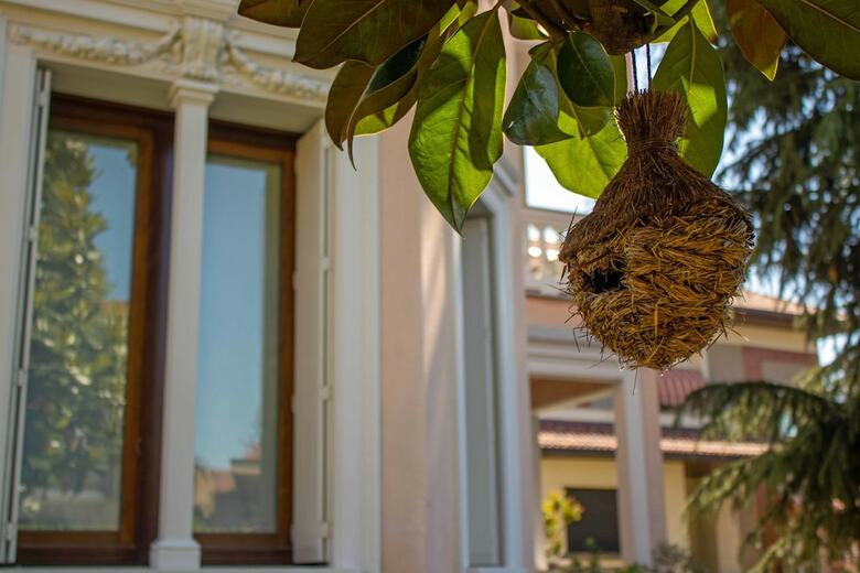 B&B Villa Le Rondini