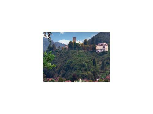 Apartment Hornberg - 05