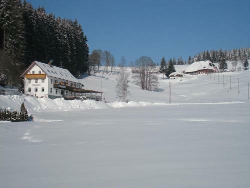 Hostal Gasthaus Pension Donish�usle