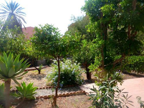 Seafront Apartments Garden House