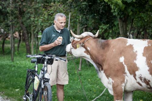 Agroturismo Dai Minisins