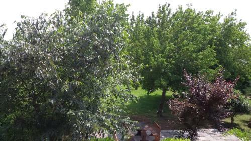 Agroturismo Agriturismo La Pace