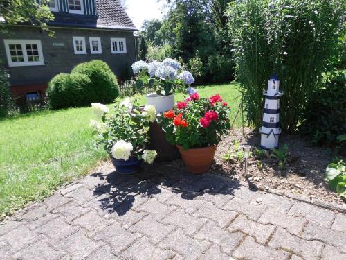 Comfortable Apartment In Langewiese With Private Garden