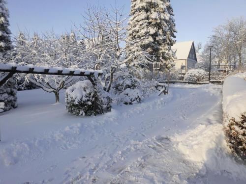 Comfortable Apartment In Langewiese With Private Garden