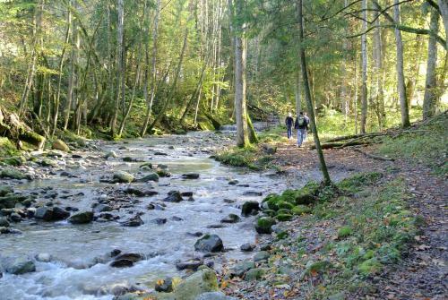 Apartamento Ferienhaus Wetzel