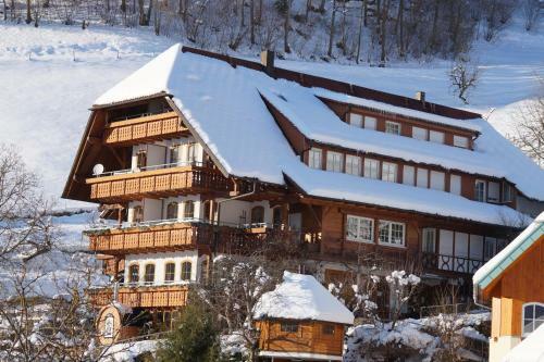 Aparthotel Ehrenm�ttlehof Fai�t