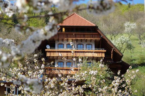 Aparthotel Ehrenm�ttlehof Fai�t