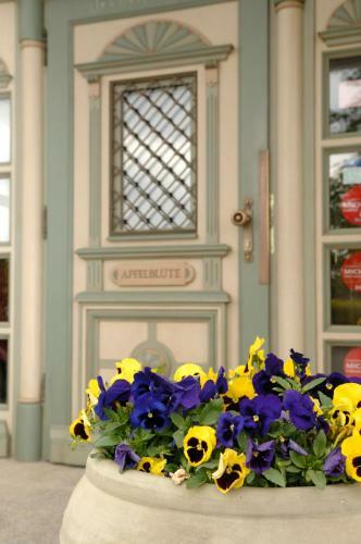 Hotel Landgasthof Apfelbl�te
