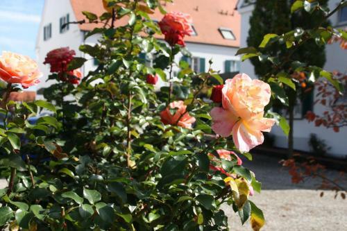 Hotel Gasthaus Wangerhof