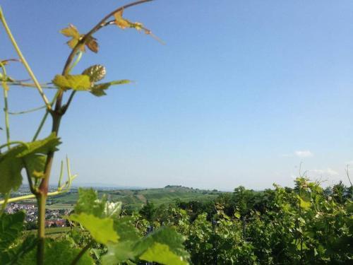Apartamento Winzerhof Keller