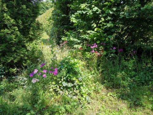 Apartamento Ferienwohnung Lampertstal In Alendorf, Toskana Der Eifel