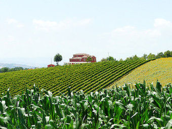 Agroturismo L'antigo Granaro