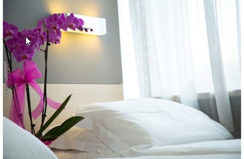Hotel Delle Rose