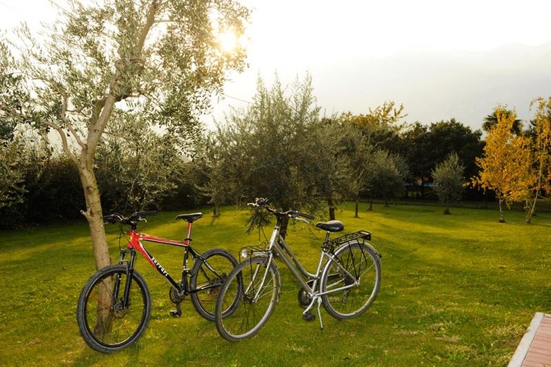 Park Hotel Il Vigneto