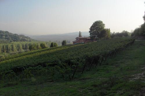 Agroturismo Podere Chiaromonte