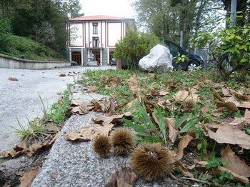 Royal Hotel Montevergine