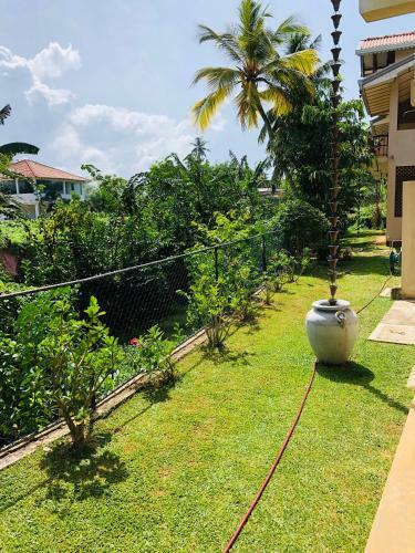 Hostal Peacock Villa