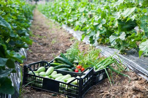Hotel Miramonti
