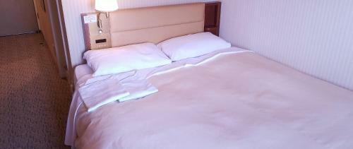 Hotel Grand Terrace Toyama