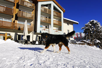 Hotel Lac Salin Spa & Mountain Resort