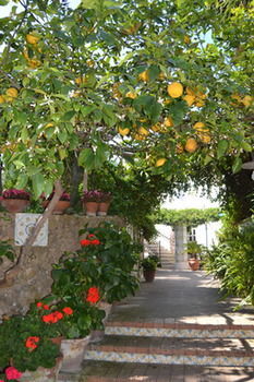 Hotel Tirreno Residence