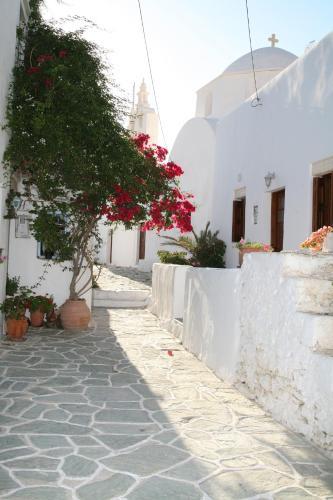 Anima Apartments