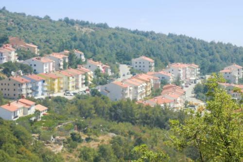 Homerez - Apartment Raska Ul. II