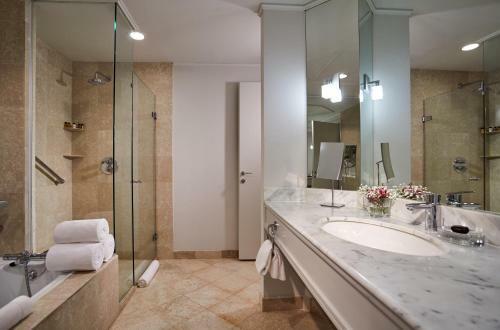 Hotel Hyatt Regency Belgrade