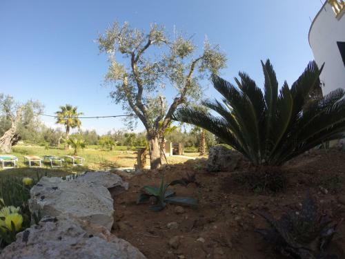 B&B Villa Gallipoli