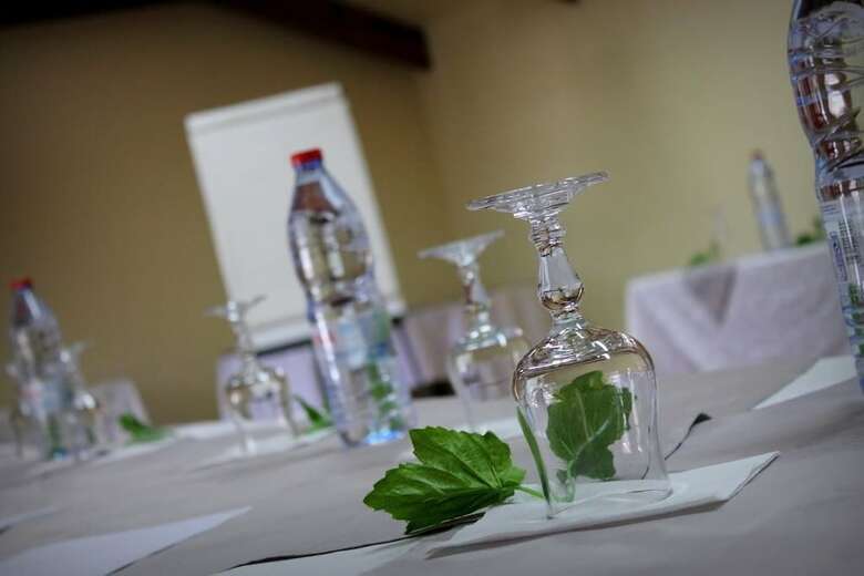Hotel Le Vieux Cep