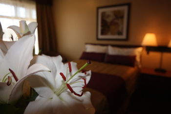 Motel Adam