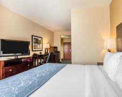 Hotel Comfort Suites Pell City
