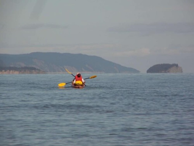 Hotel Hilton Saint John