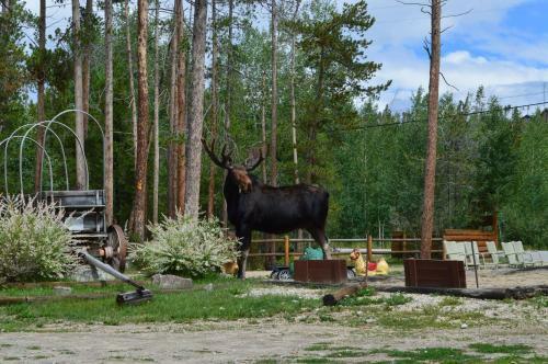 Daven Haven Lodge & Cabins