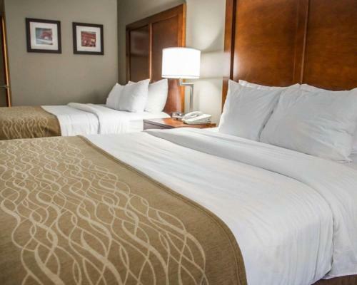 Hotel Comfort Inn & Suites Riverview