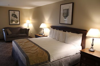 Hotel Greenville Inn & Suites