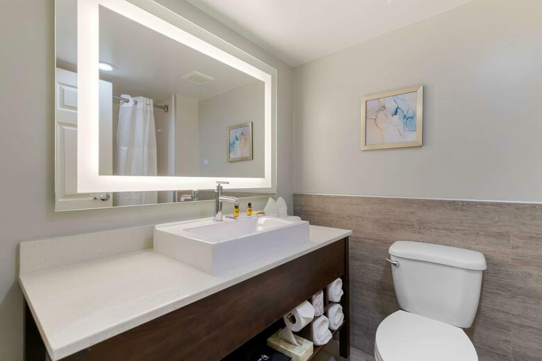 Hotel Wingate By Wyndham - Mcallen