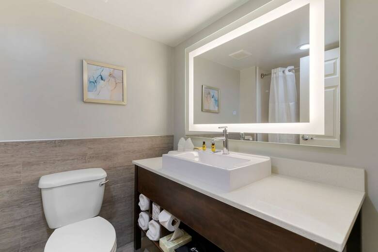 Hotel Wingate By Wyndham - Mcallen