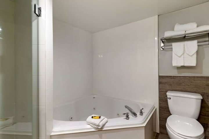Hotel Wingate By Wyndham - Mcallen