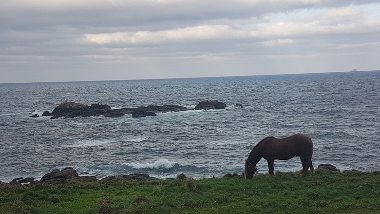 Hotel Galatea