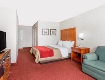 Hotel Comfort Inn Historic Area