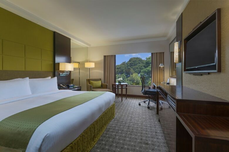 Hotel Holiday Inn Singapore Orchard City Centre