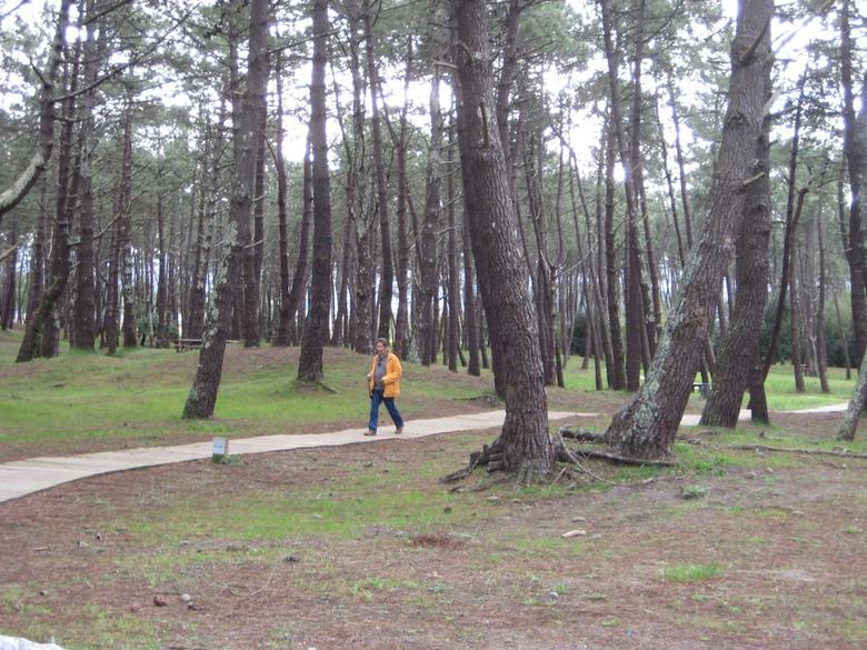Hotel Viento Del Norte