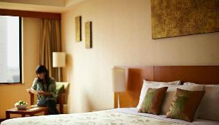 Hotel Century Park (superior)